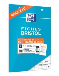 30 Fiches Bristol Oxford 2.0 Scribzee Petits Carreaux 14.8 X 21 Cm