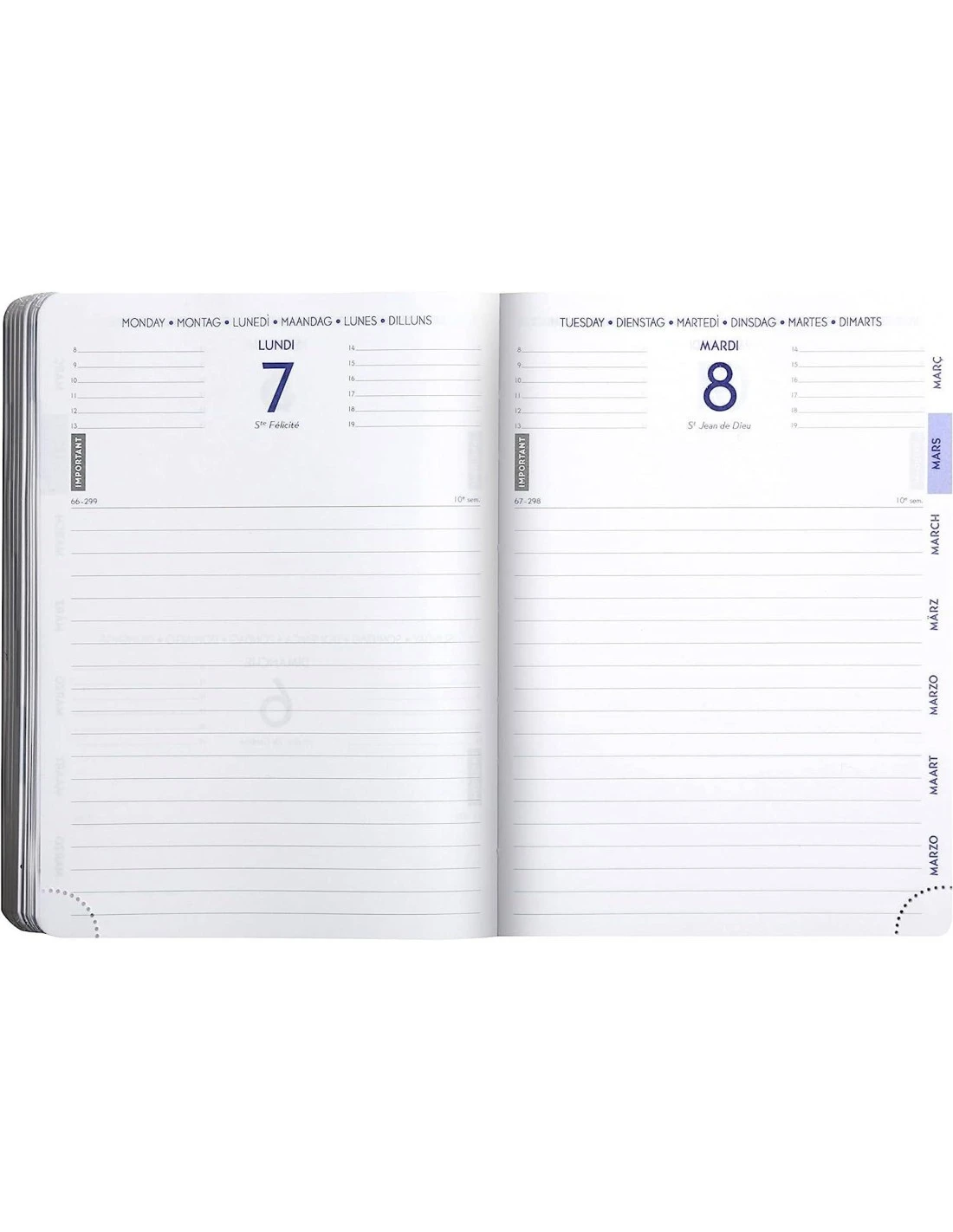 Agenda Scolaire T-Rex Jurassic World 2024/2025 4 Agenda Scolaire T-Rex Jurassic World 2024/2025 – Image 2