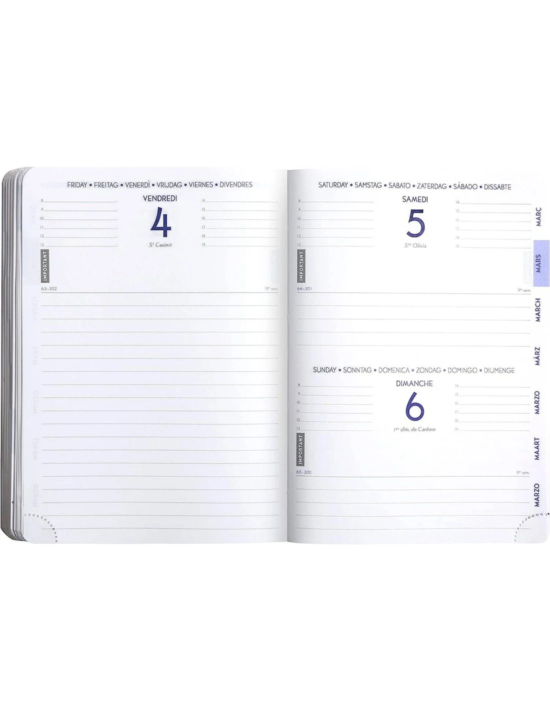 Agenda Scolaire T-Rex Jurassic World 2024/2025 8 Agenda Scolaire T-Rex Jurassic World 2024/2025 – Image 6