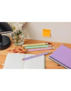 BIC Evolution Crayons Graphite Pastel Avec Pointe Gomme HB -Scolaires Fournitures Magasin bic evolution crayons graphite pastel avec pointe gomme hb 2