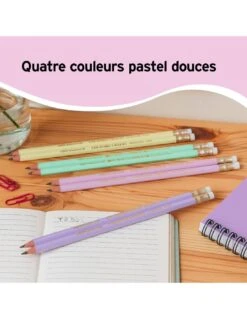 BIC Evolution Crayons Graphite Pastel Avec Pointe Gomme HB -Scolaires Fournitures Magasin bic evolution crayons graphite pastel avec pointe gomme hb 3