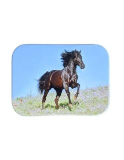 Boite à Bon Point Cheval Oberthur 11 X 8 Cm