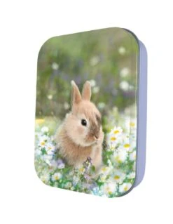 Boite à Tout Animaux Mignons Lapin Métal