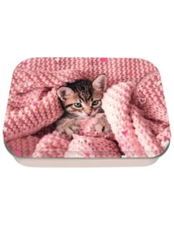 Boite à Tout Chaton Tendre Métal
