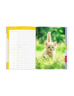 Cahier De Textes Rigide Chaton Etoile Oberthur -Scolaires Fournitures Magasin cahier de texte rigide chaton etoile oberthur 1