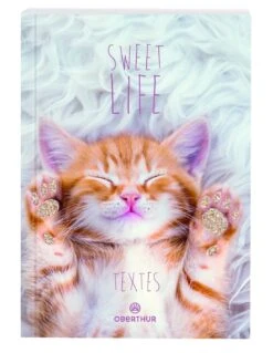 Cahier De Textes Rigide Chaton Lune Oberthur