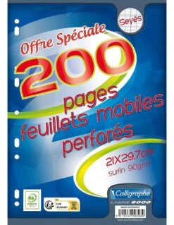 Calligraphe 200 Feuillets Mobiles Perforés 21x29.7 Cm Seyes