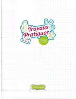 Calligraphe Cahier De Travaux Pratiques Incolore - 24x32 Cm - 96 Pages Grands Carreaux - Pollypro Transparent