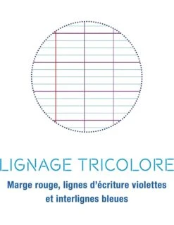 Clairefontaine - Lot De 4 Cahiers 24x 32 Cm Grands Carreaux - 96 Pages 9 Clairefontaine - Lot De 4 Cahiers 24x 32 Cm Grands Carreaux - 96 Pages -Scolaires Fournitures Magasin clairefontaine lot de 4 cahiers pique grands carreaux 96 pages 24 x 32 cm 3