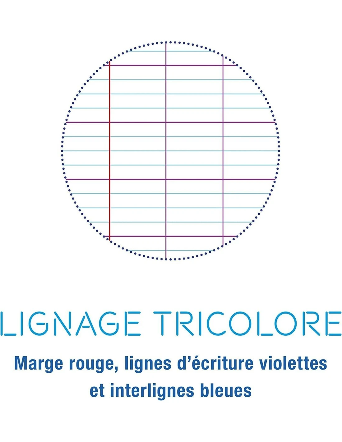 Clairefontaine - Lot De 4 Cahiers 24x 32 Cm Grands Carreaux - 96 Pages 6 Clairefontaine - Lot De 4 Cahiers 24x 32 Cm Grands Carreaux - 96 Pages – Image 4