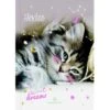 Cahier De Textes Chaton Nuage Oberthur 2 Cahier De Textes Chaton Nuage Oberthur -Scolaires Fournitures Magasin oberthur cahier de textes chaton nuage
